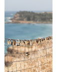 Love Locks of Lennox - Fine Art Print