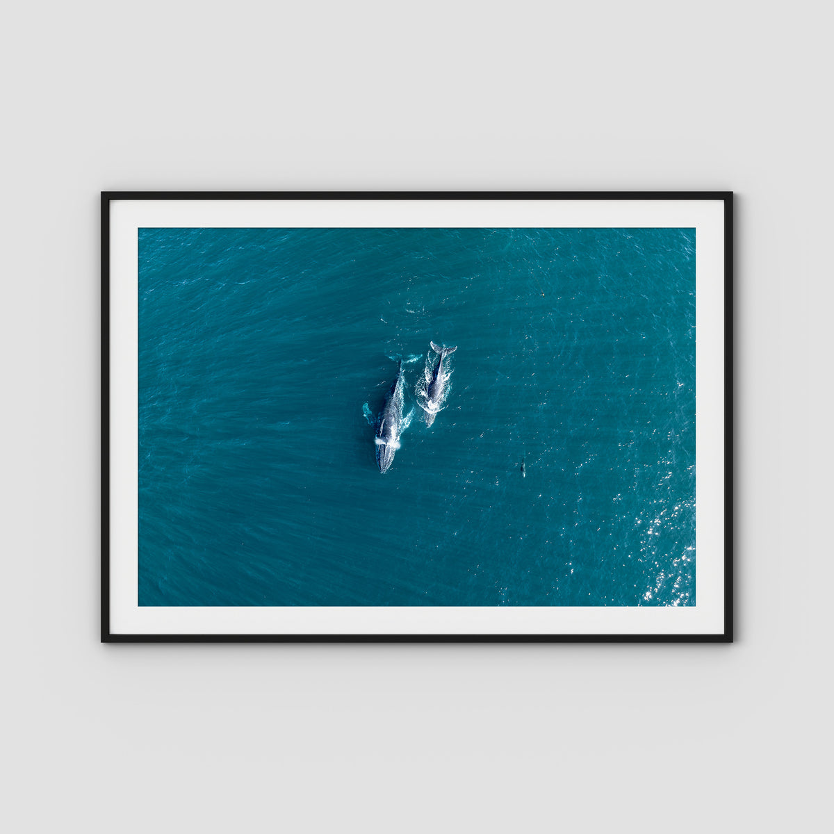 Whales Cruising - Art Print - Traditional Frame - Black - Landscape