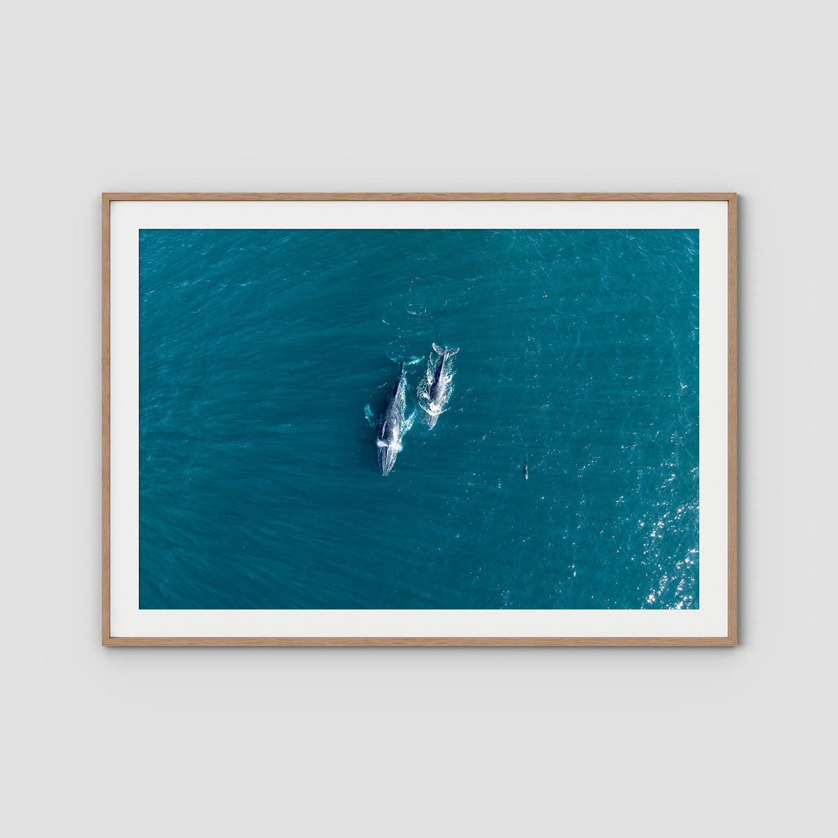 Whales Cruising - Art Print - Traditional Frame - Raw Oak - Landscape