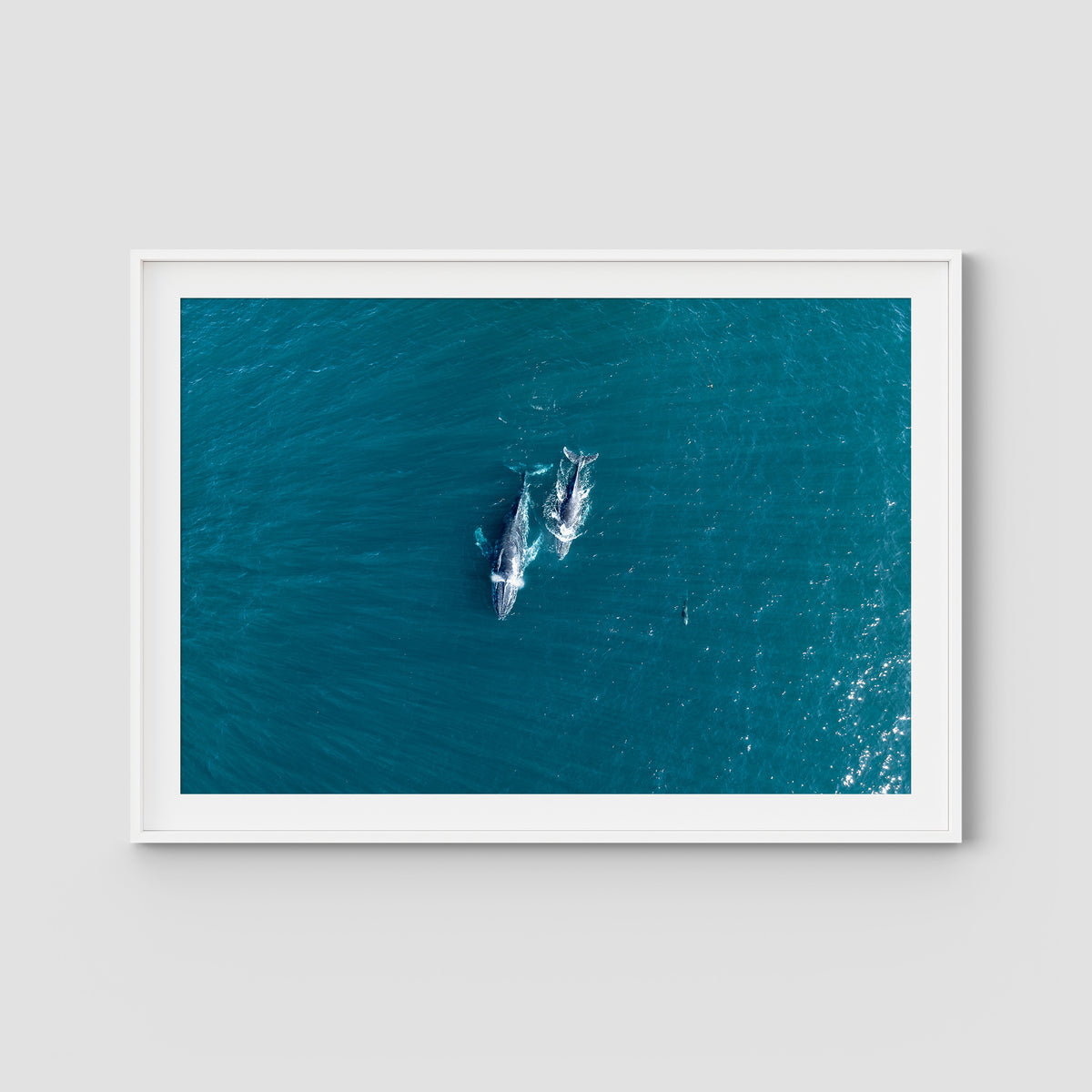 Whales Cruising - Art Print - Traditional Frame - White - Landscape