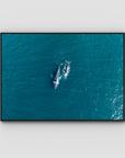Whales Cruising - Art Print - Float Frame Canvas - Black - Landscape
