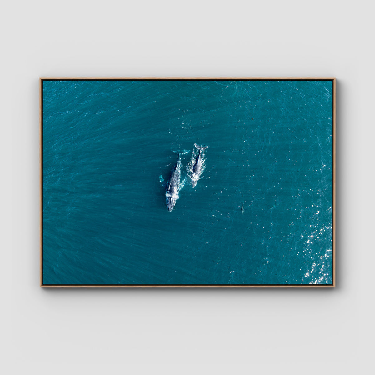 Whales Cruising - Art Print - Float Frame Canvas - Raw Oak - Landscape