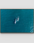Whales Cruising - Art Print - Float Frame Canvas - Raw Oak - Landscape