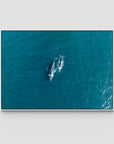 Whales Cruising - Art Print - Float Frame Canvas - White - Landscape