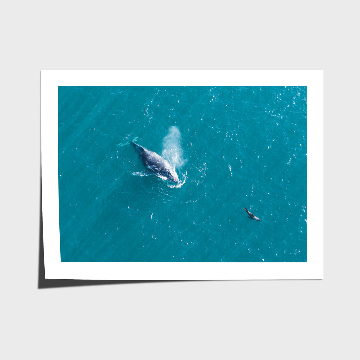 Breath of the Ocean - Art Print - Fine Art Paper - Unframed Print - Landscape