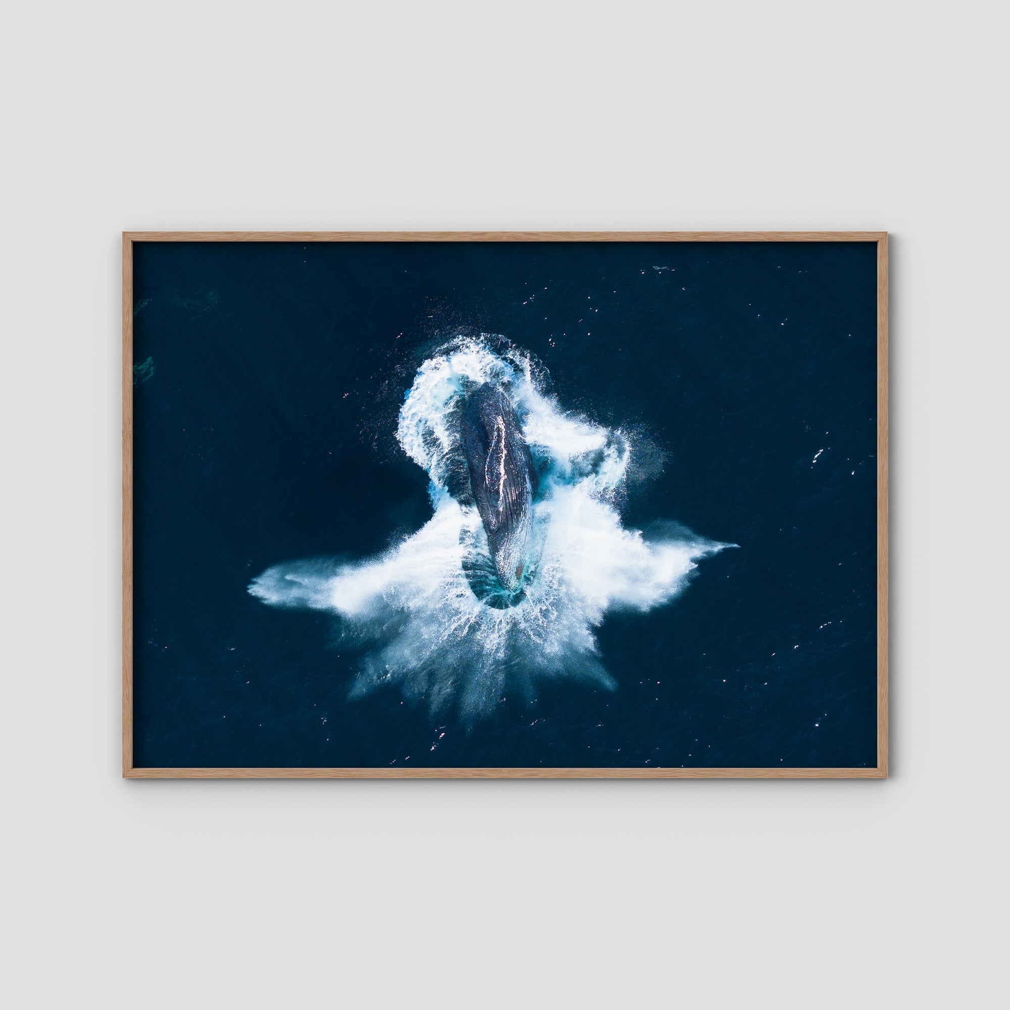 Whale Breach - Art Print Tidaltones