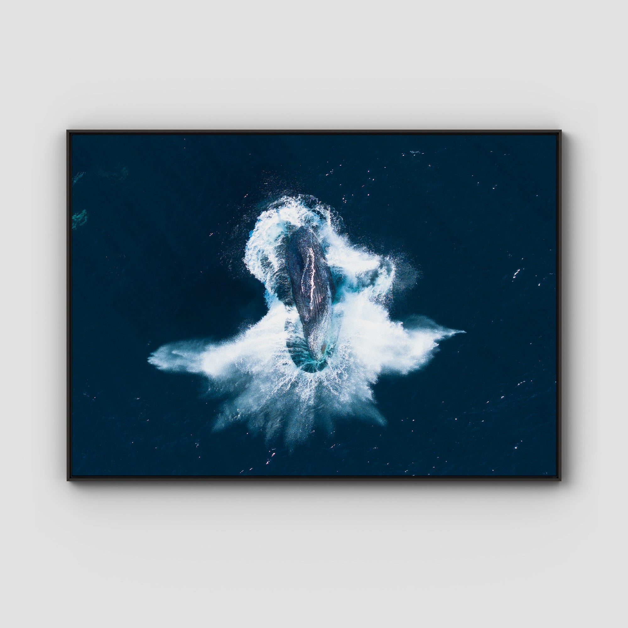 Whale Breach - Art Print Tidaltones