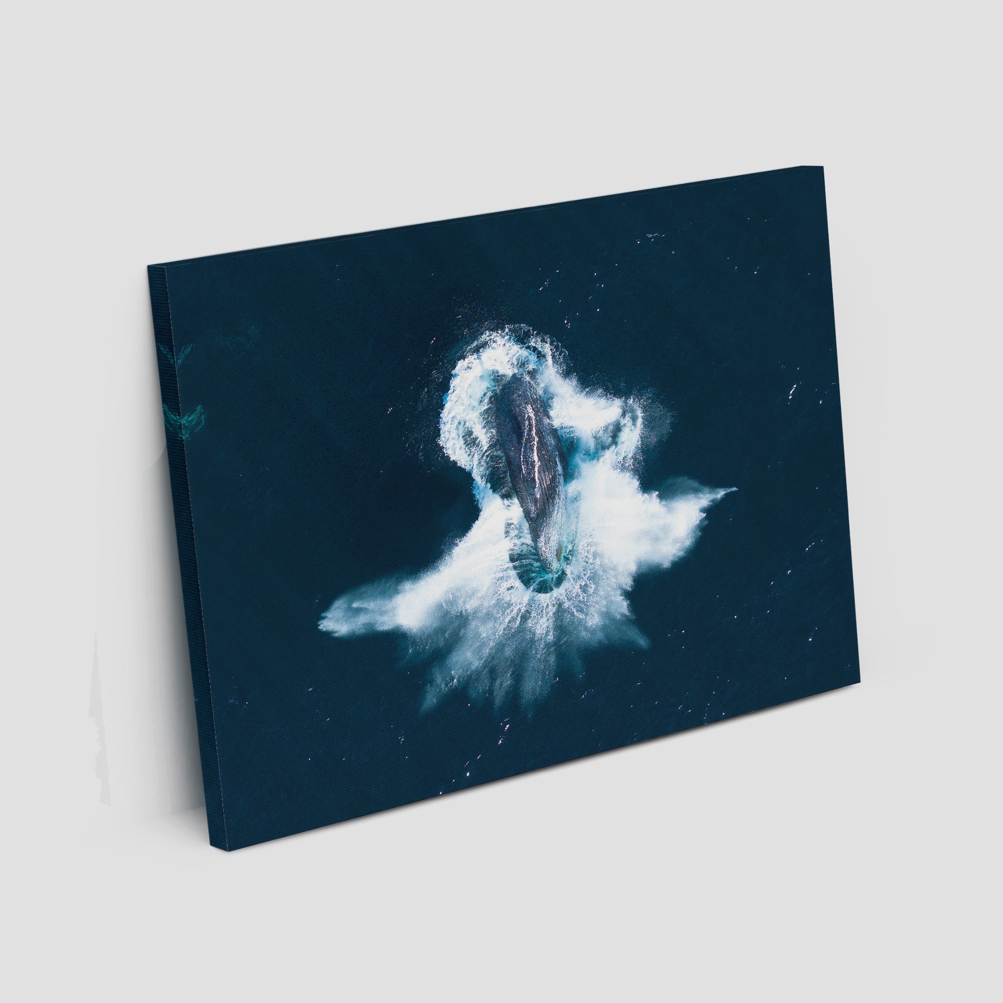 Whale Breach - Art Print Tidaltones