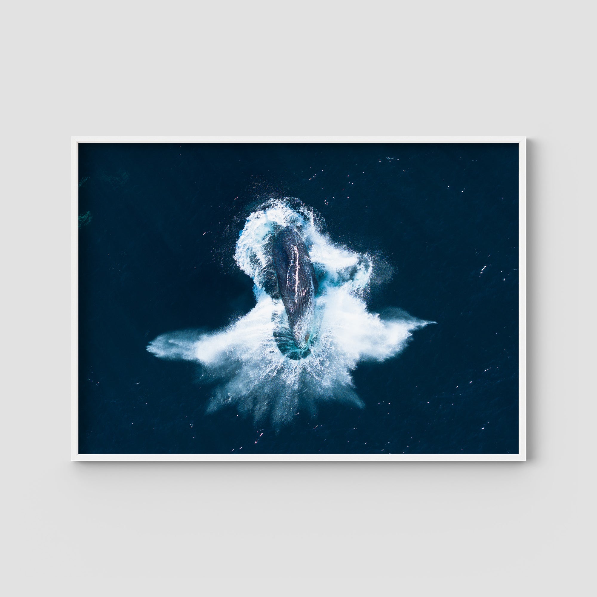 Whale Breach - Art Print Tidaltones