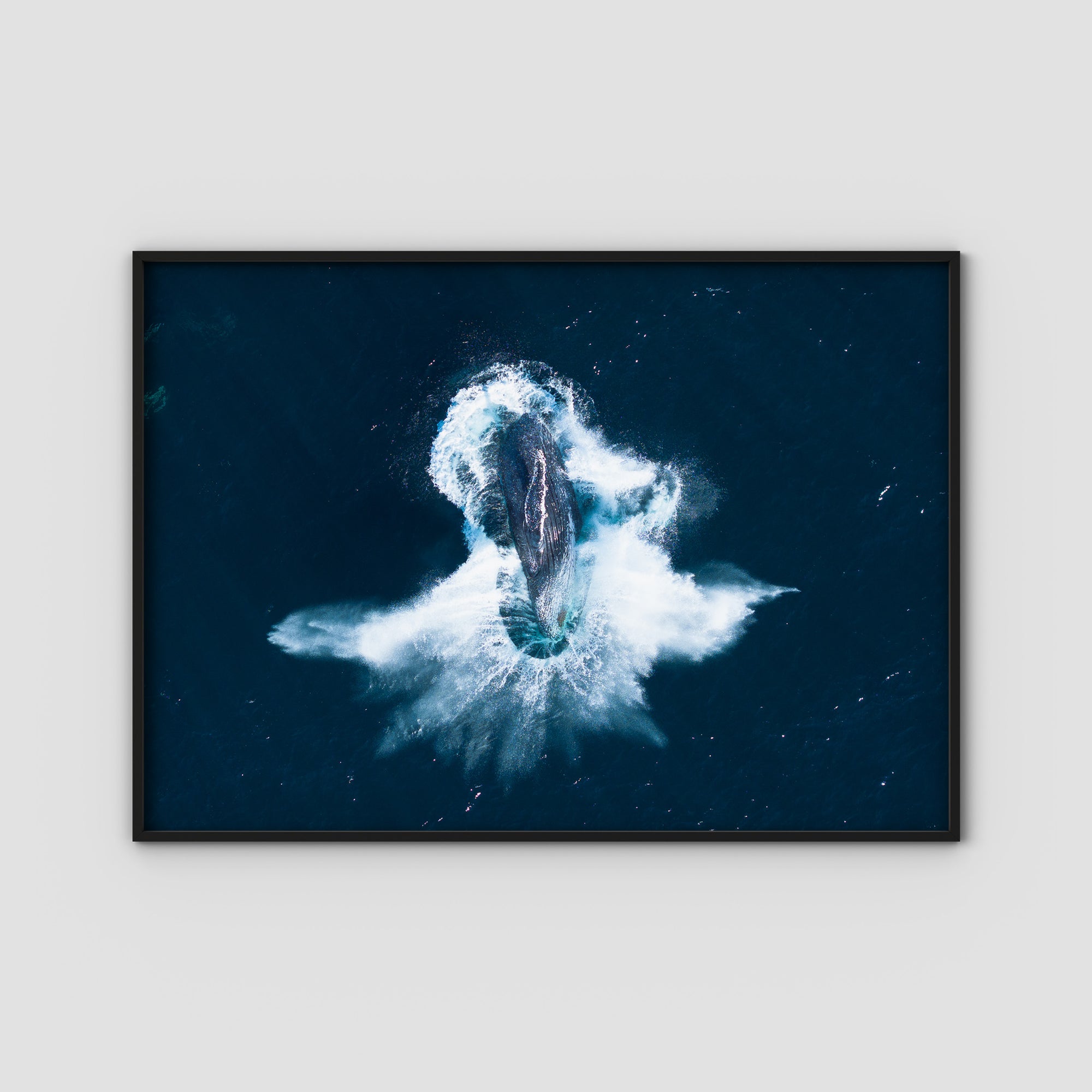 Whale Breach - Art Print Tidaltones