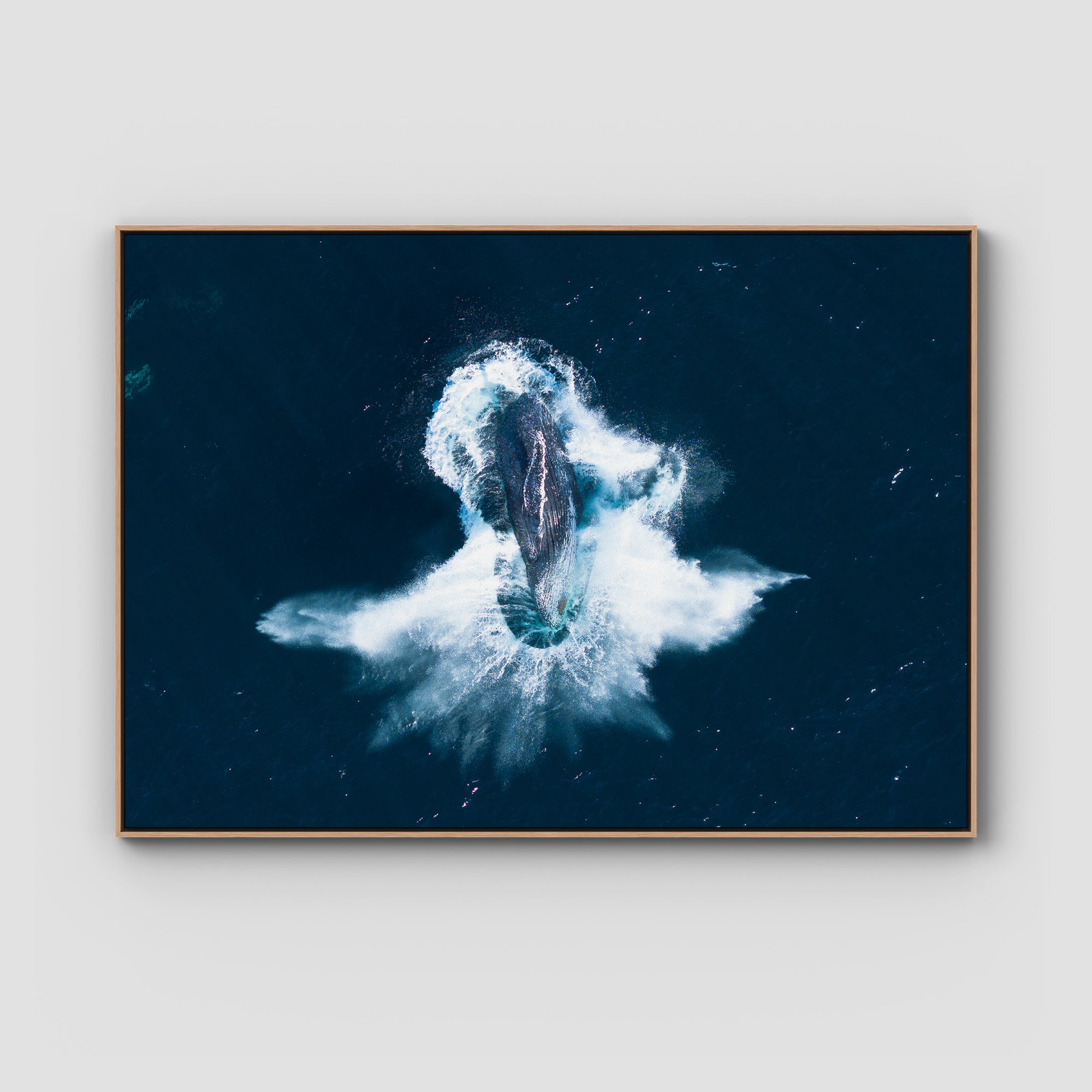 Whale Breach - Art Print Tidaltones