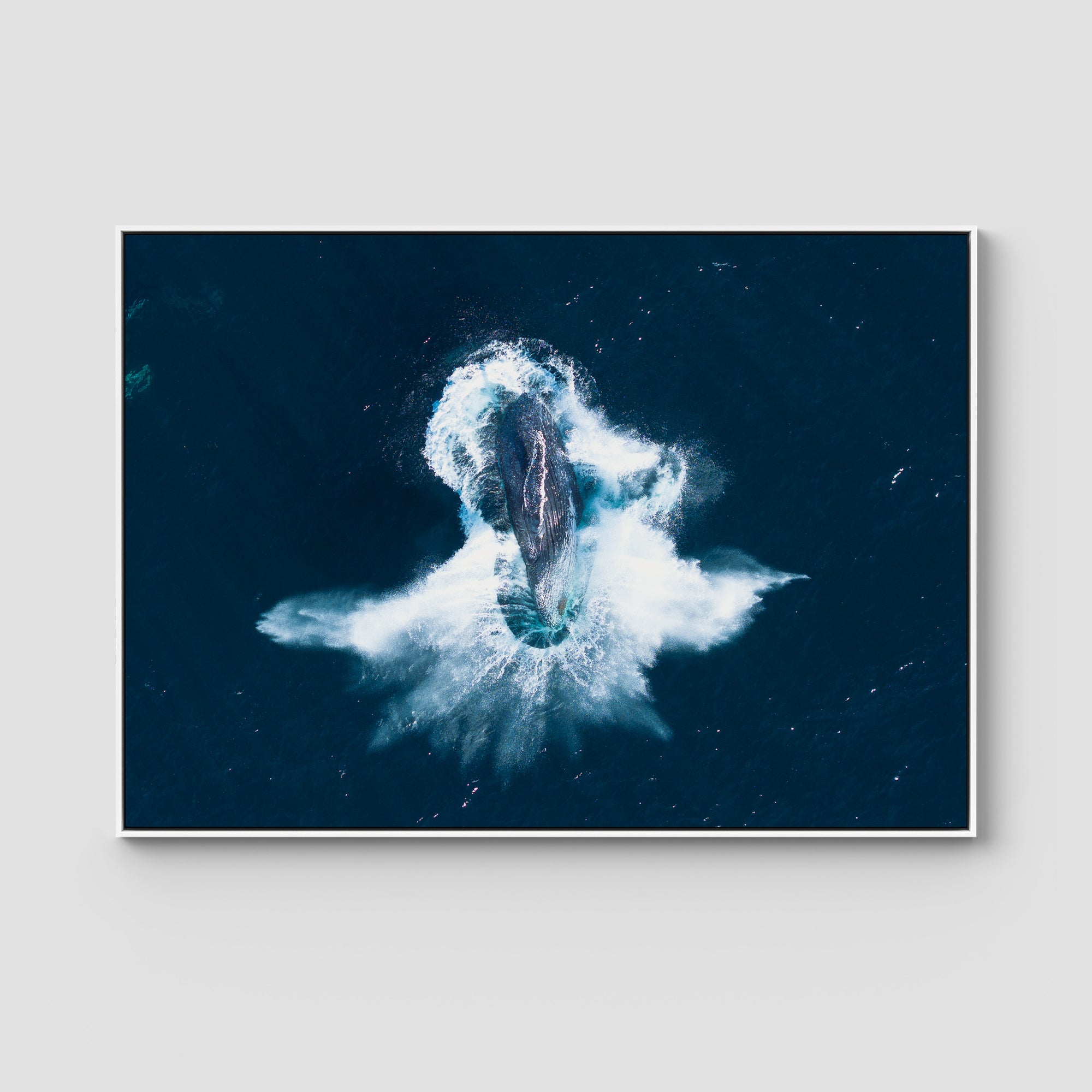 Whale Breach - Art Print Tidaltones