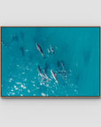 Dolphin Pod - Port Stephens - Art Print - Float Frame Canvas - Raw Oak - Landscape