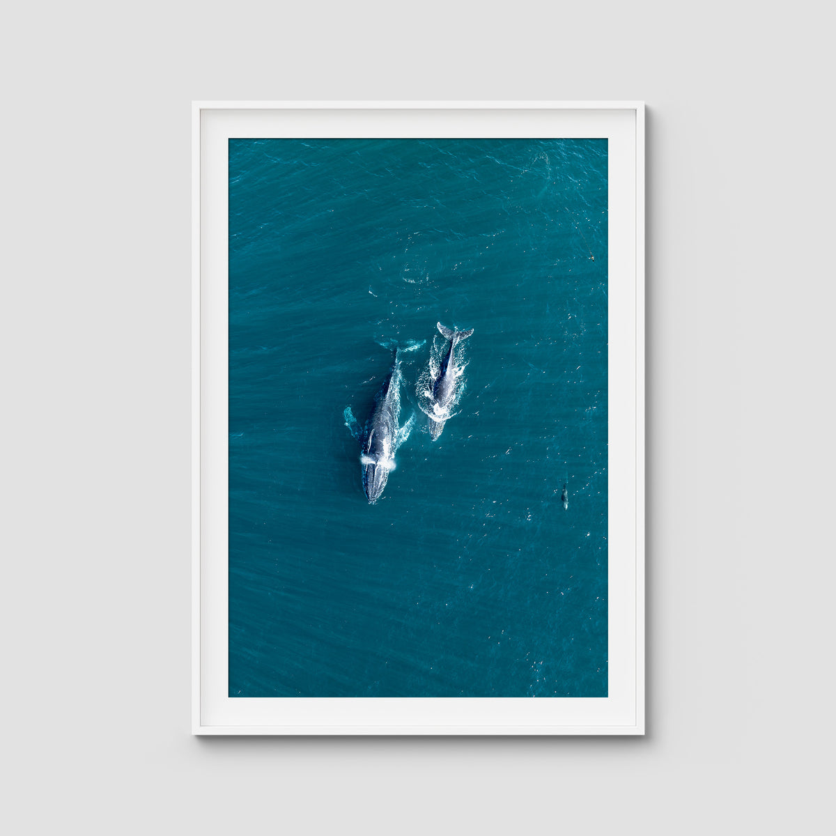 Whales Cruising - Art Print - Traditional Frame - White - Portrait