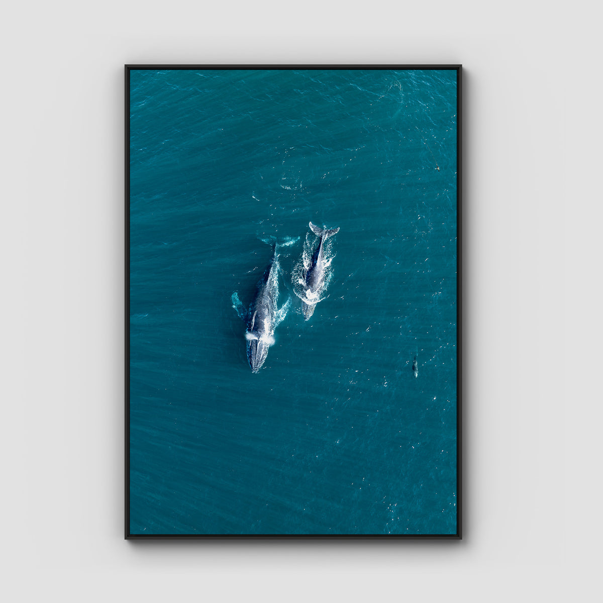 Whales Cruising - Art Print - Float Frame Canvas - Black - Portrait