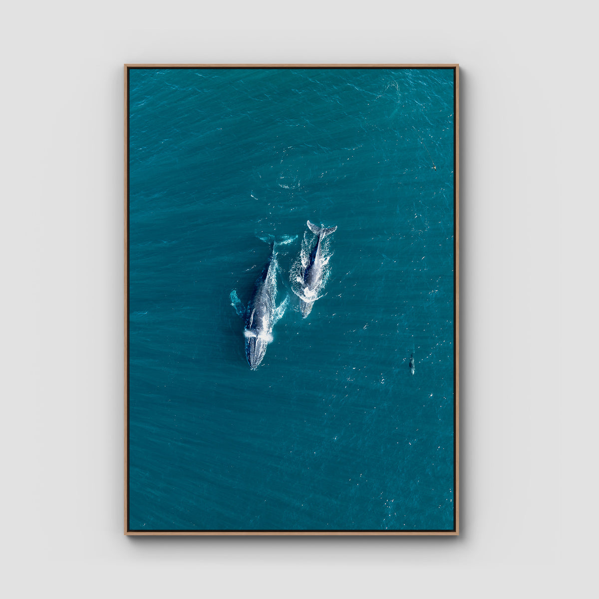 Whales Cruising - Art Print - Float Frame Canvas - Raw Oak - Portrait