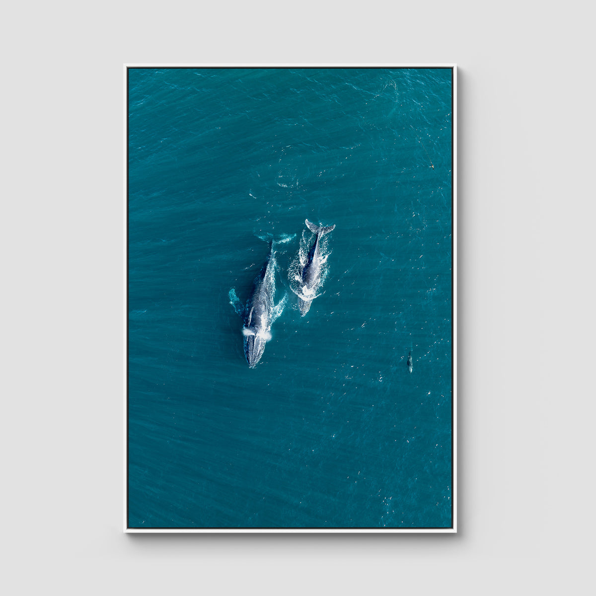 Whales Cruising - Art Print - Float Frame Canvas - White - Portrait