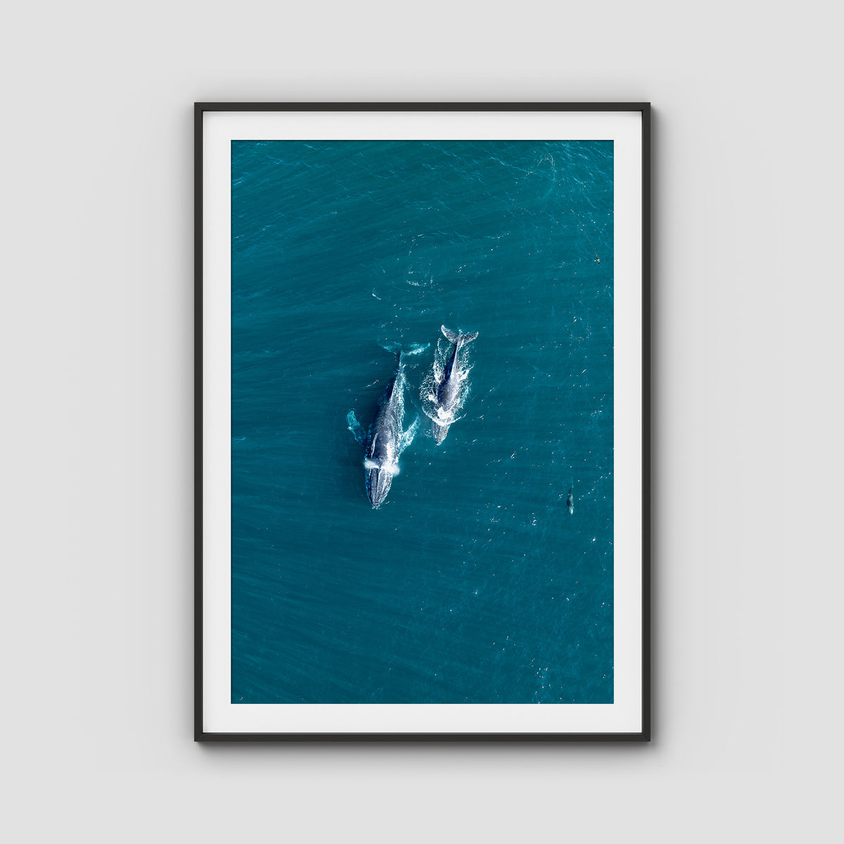 Whales Cruising - Art Print - Traditional Frame - Black - Portrait