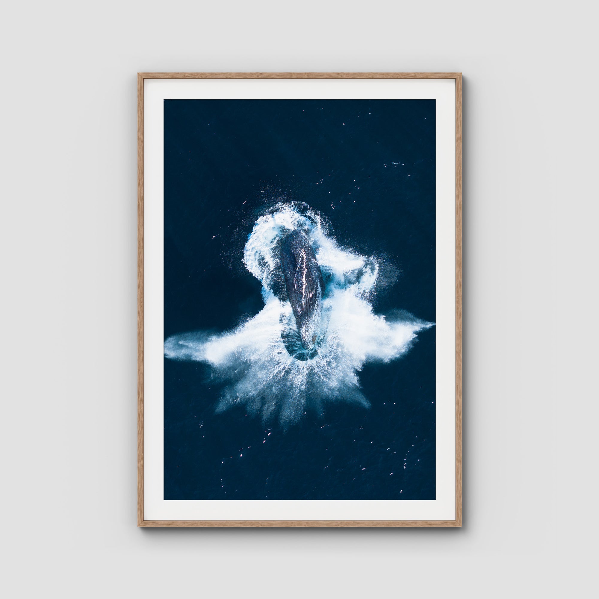 Whale Breach - Art Print Tidaltones