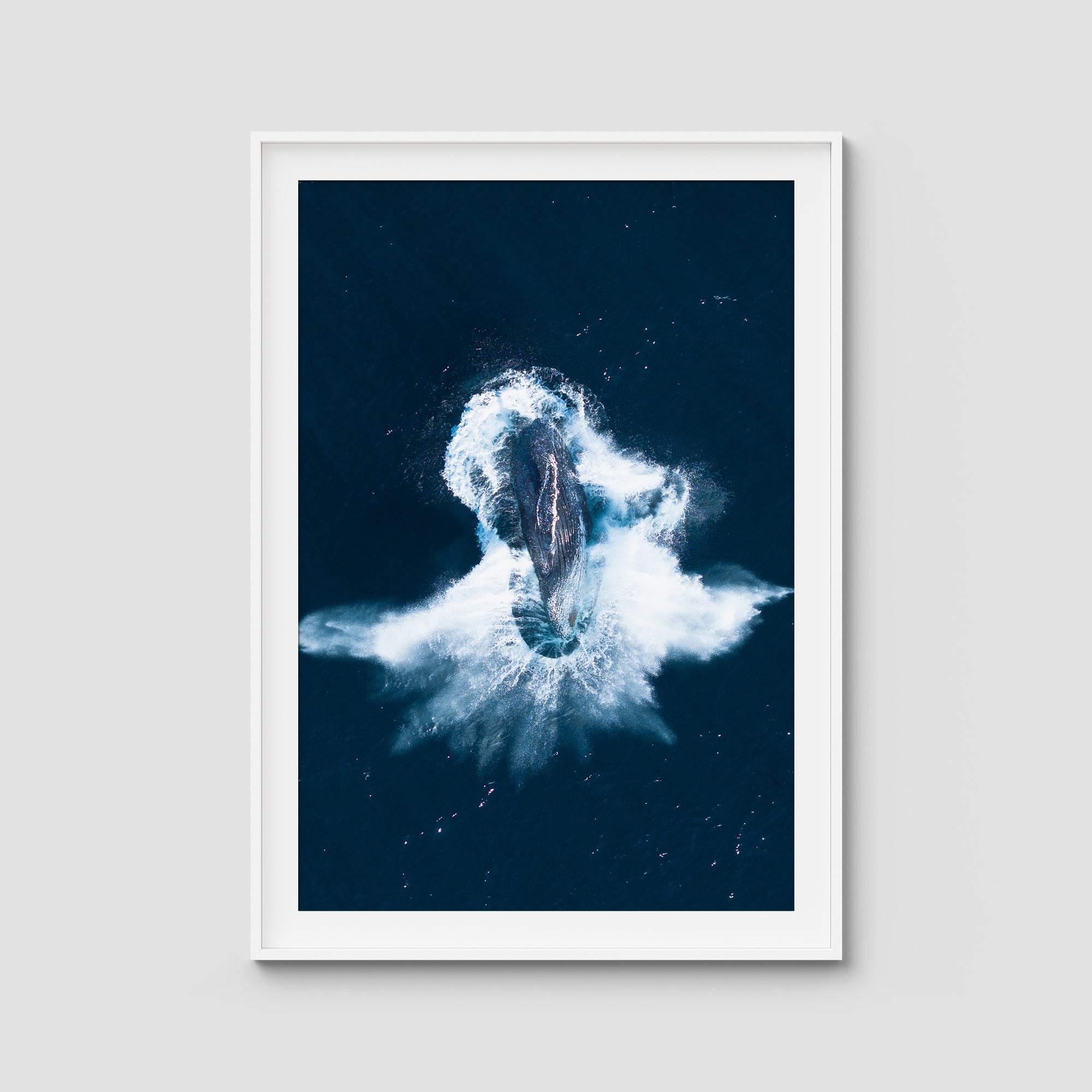 Whale Breach - Art Print Tidaltones