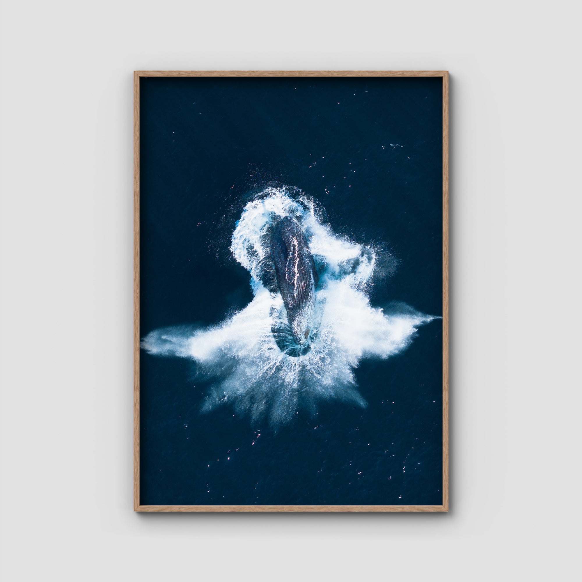Whale Breach - Art Print Tidaltones