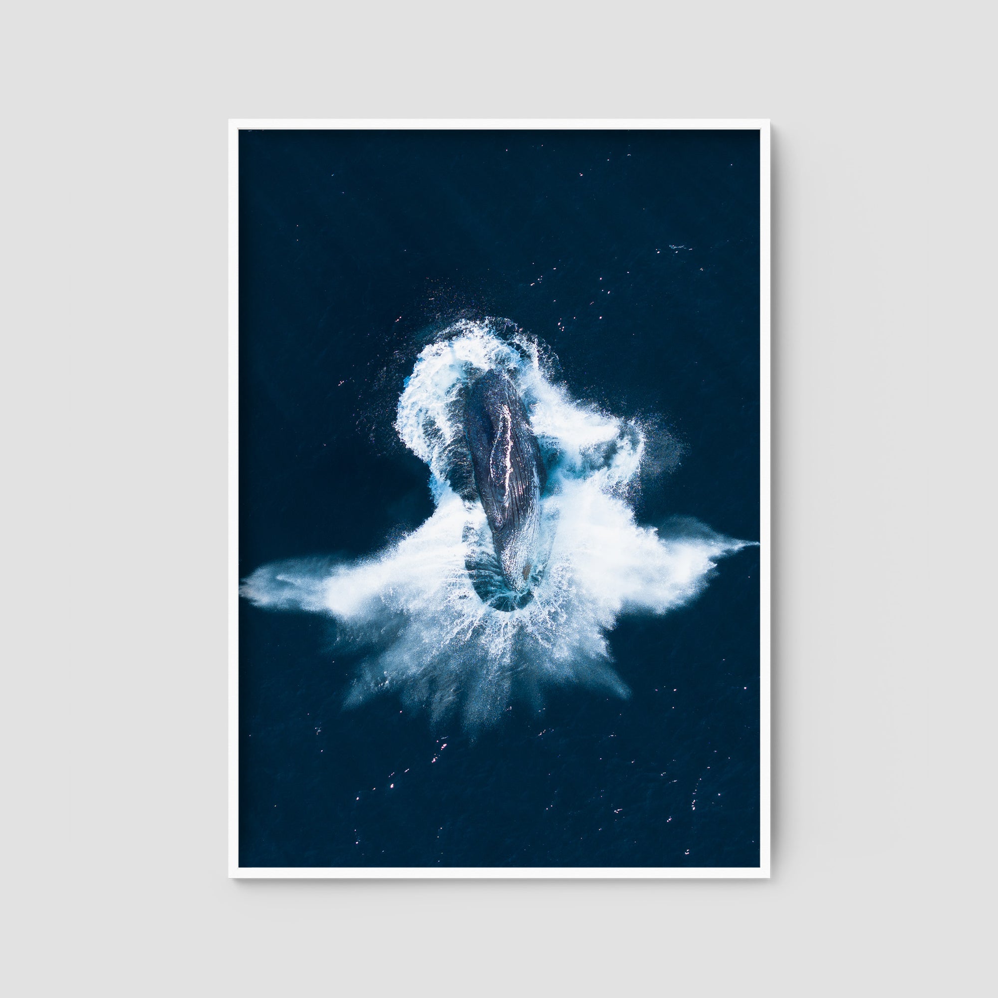 Whale Breach - Art Print Tidaltones