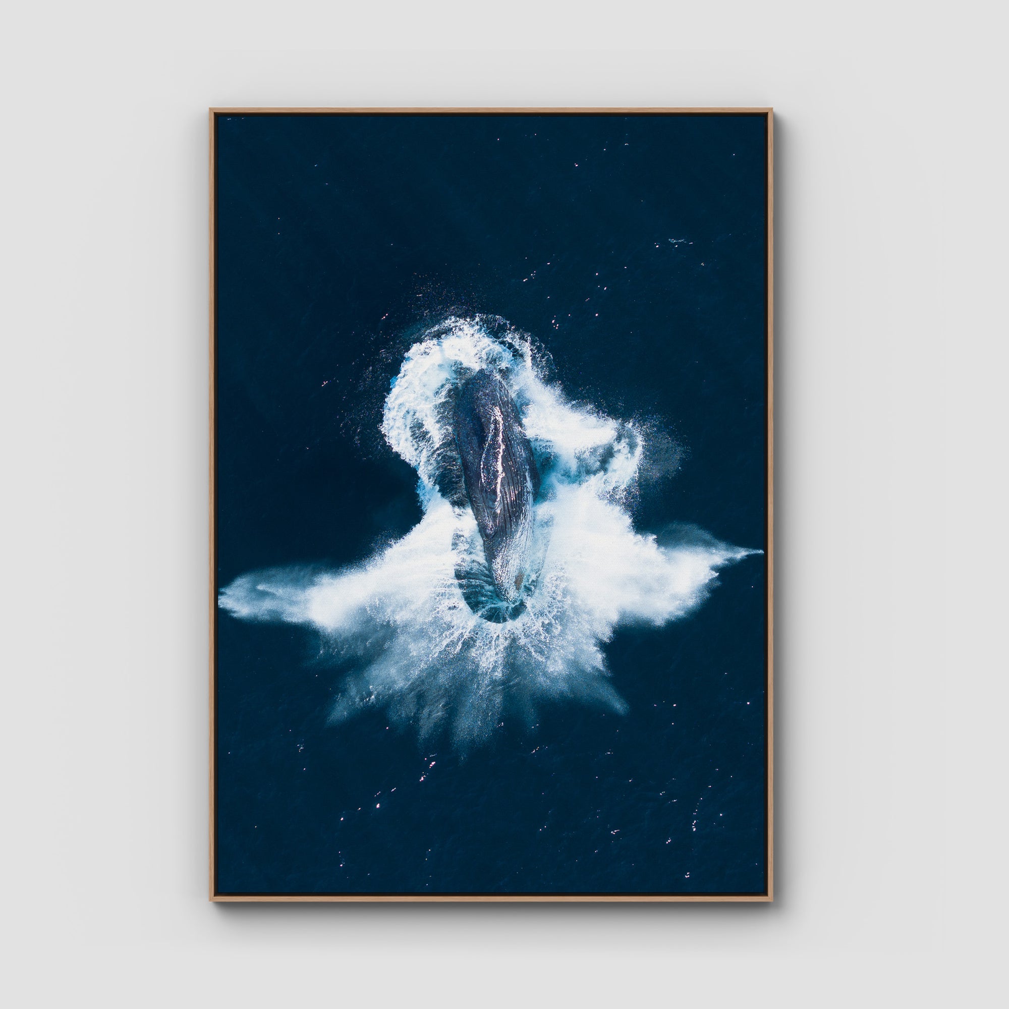 Whale Breach - Art Print Tidaltones