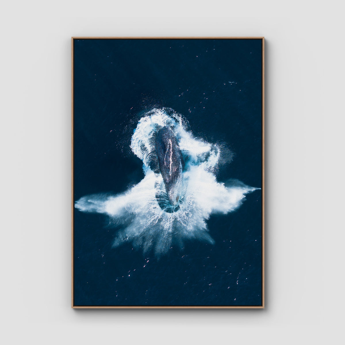Whale Breach - Art Print - Float Frame Canvas - Raw Oak - Portrait