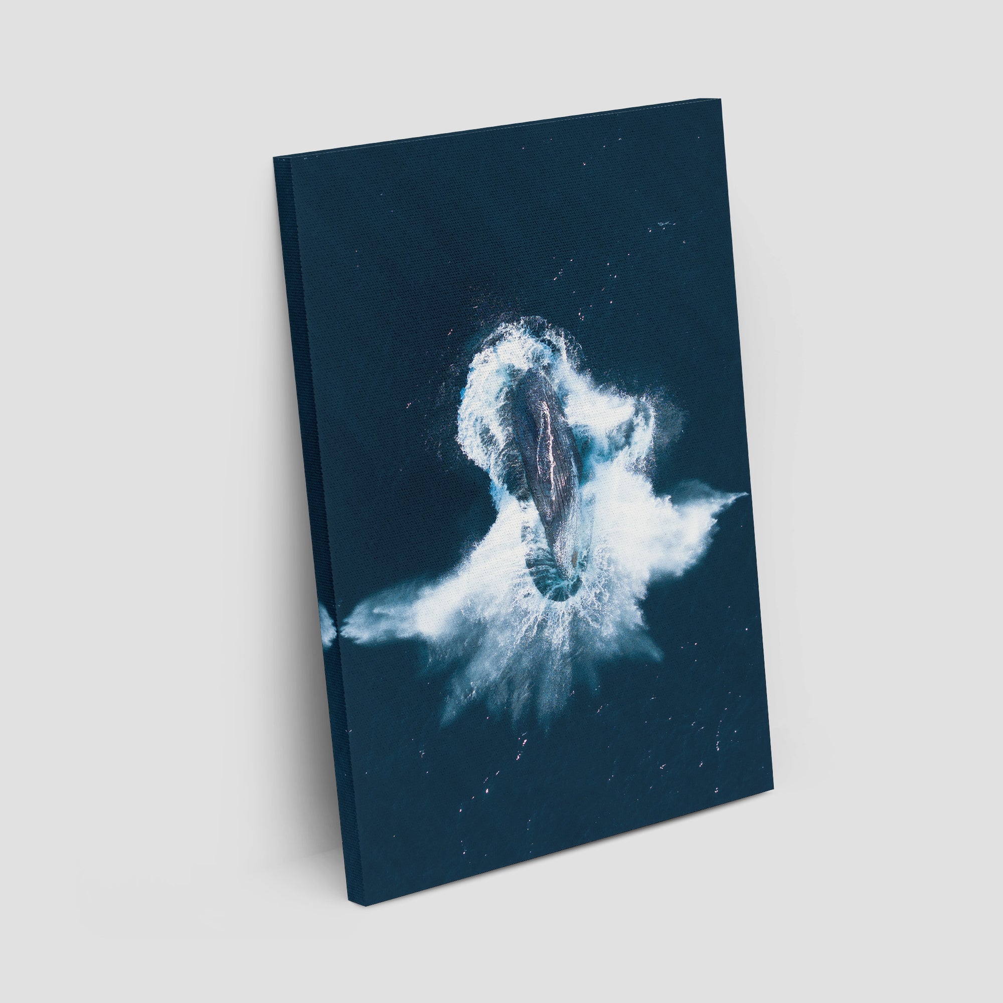 Whale Breach - Art Print Tidaltones