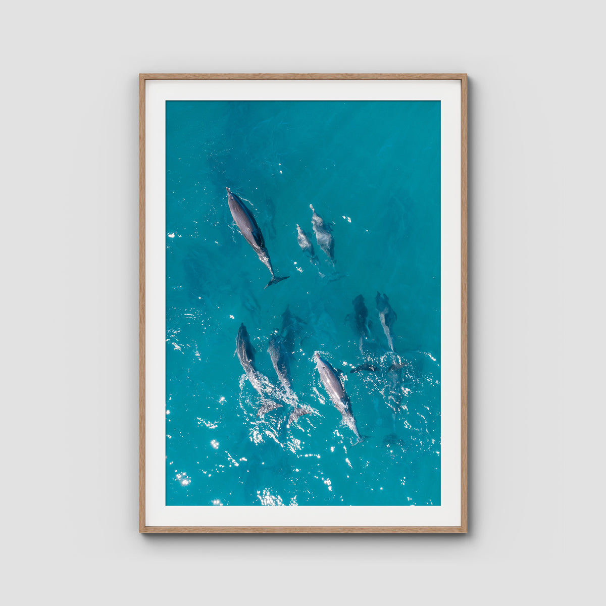 Dolphin Pod - Port Stephens - Art Print - Traditional Frame - Raw Oak - Portrait