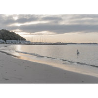 The Anchorage Corlette Sunset - Tidaltones