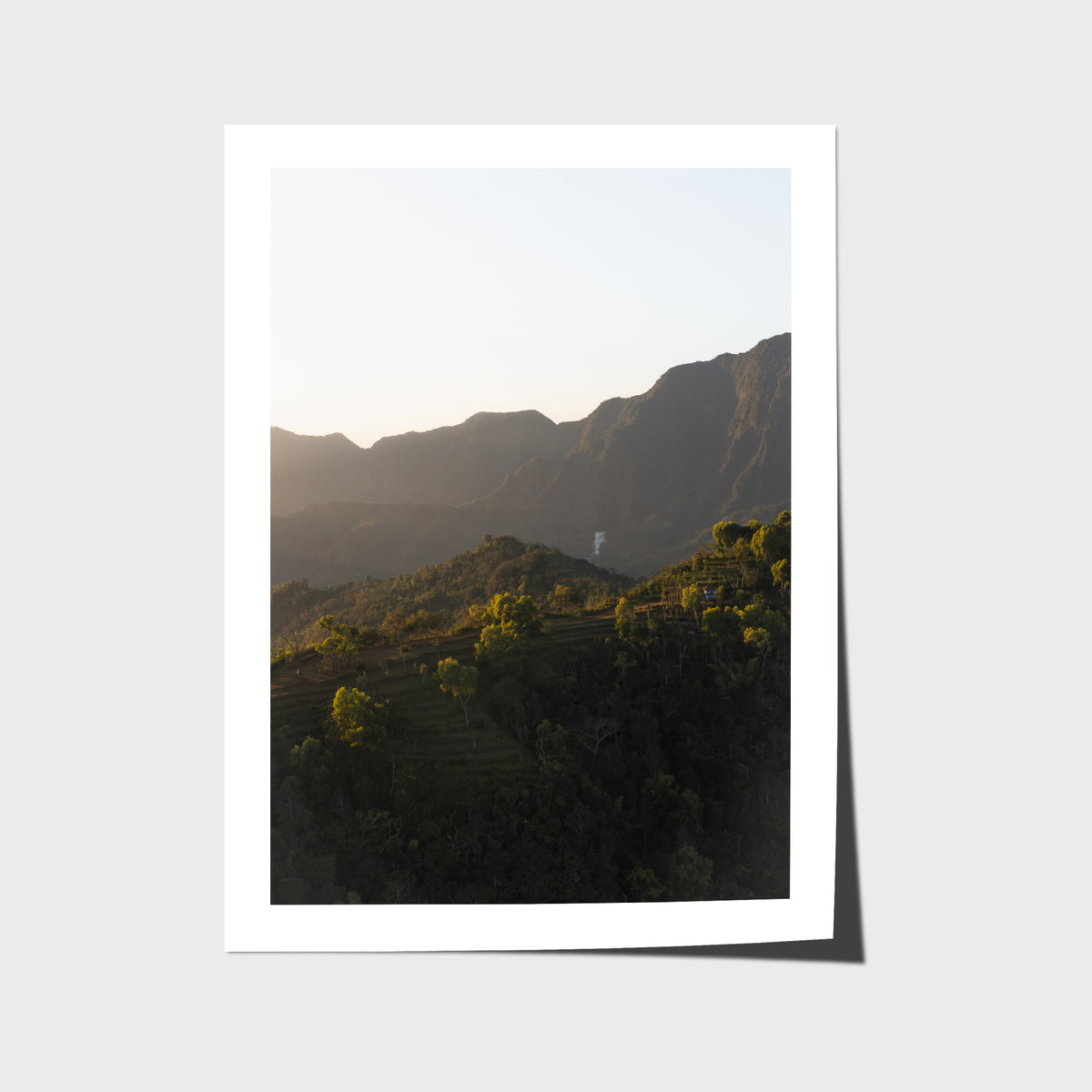 Jungle Morning Light - Bali  - Art Print - Fine Art Paper - Unframed Print - Portrait