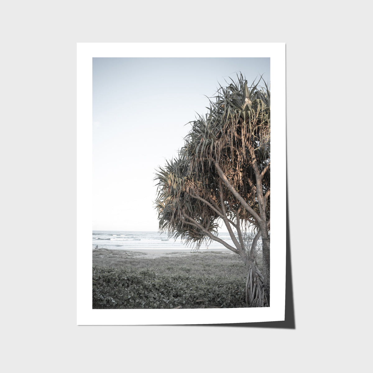 Pandanus By The Sea iii - Art Print - Fine Art Paper - Unframed Print - Portrait