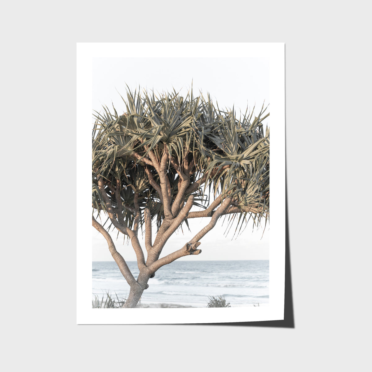 Pandanus By The Sea - Art Print - Fine Art Paper - Unframed Print - Portrait