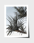 Pandanus Branch - Art Print - Fine Art Paper - Unframed Print - Portrait