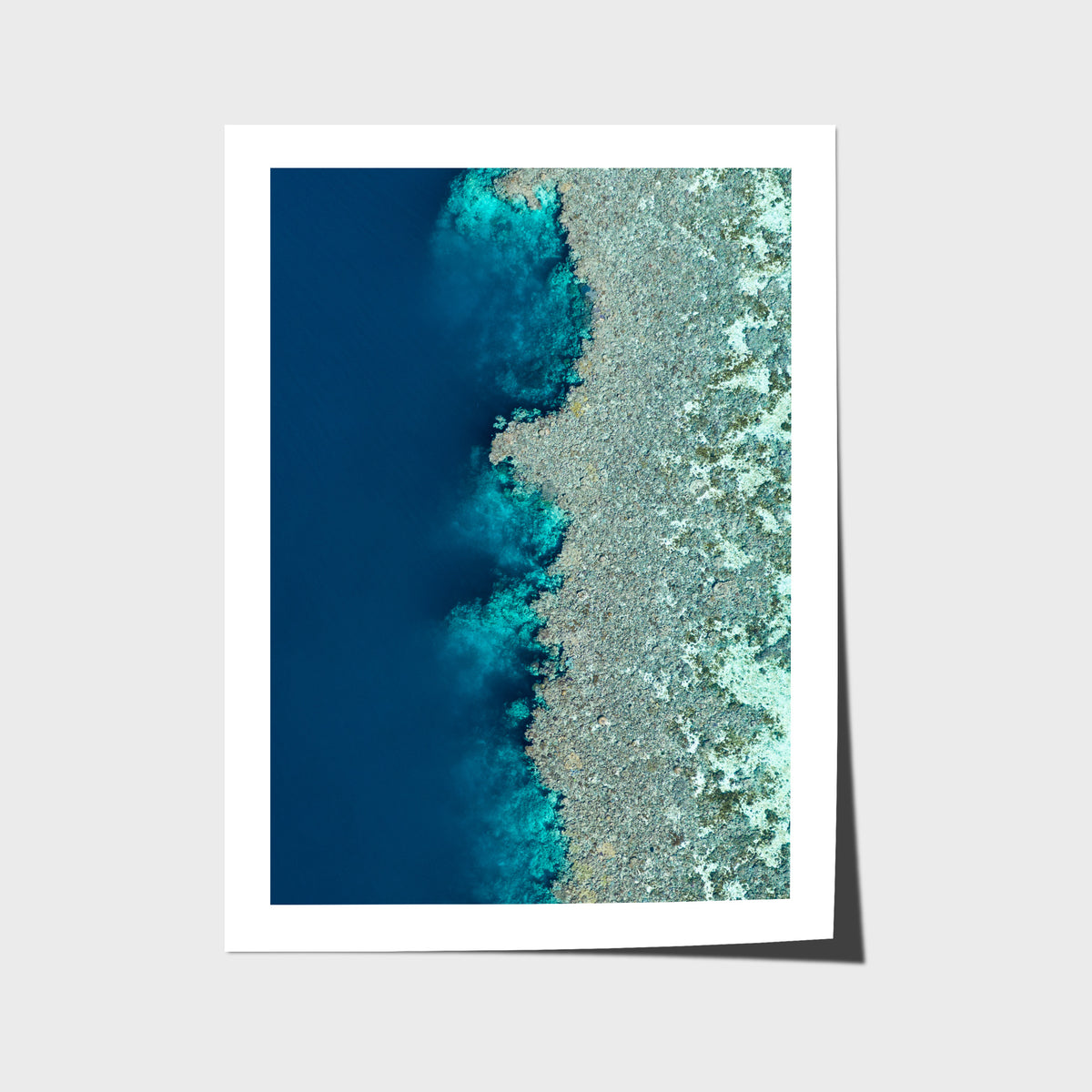 Reef Symmetry - Art Print - Fine Art Paper - Unframed Print - Portrait