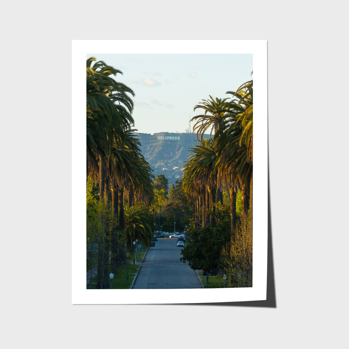 Hollywood Sign Palm Trees - Art Print - Fine Art Paper - Unframed Print - Portrait