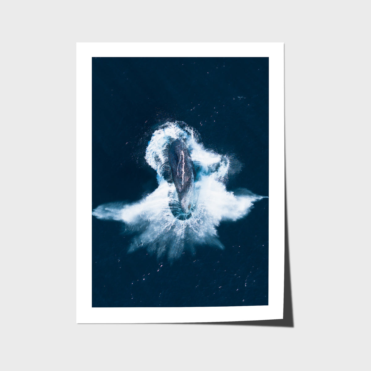 Whale Breach - Art Print - Fine Art Paper - Unframed Print - Portrait