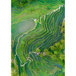 Tegalalang Rice Fields - Ubud - Tidaltones