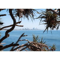 Pandanus Frame -  Tidaltones