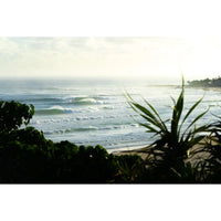 Snapper Rocks - Tidaltones