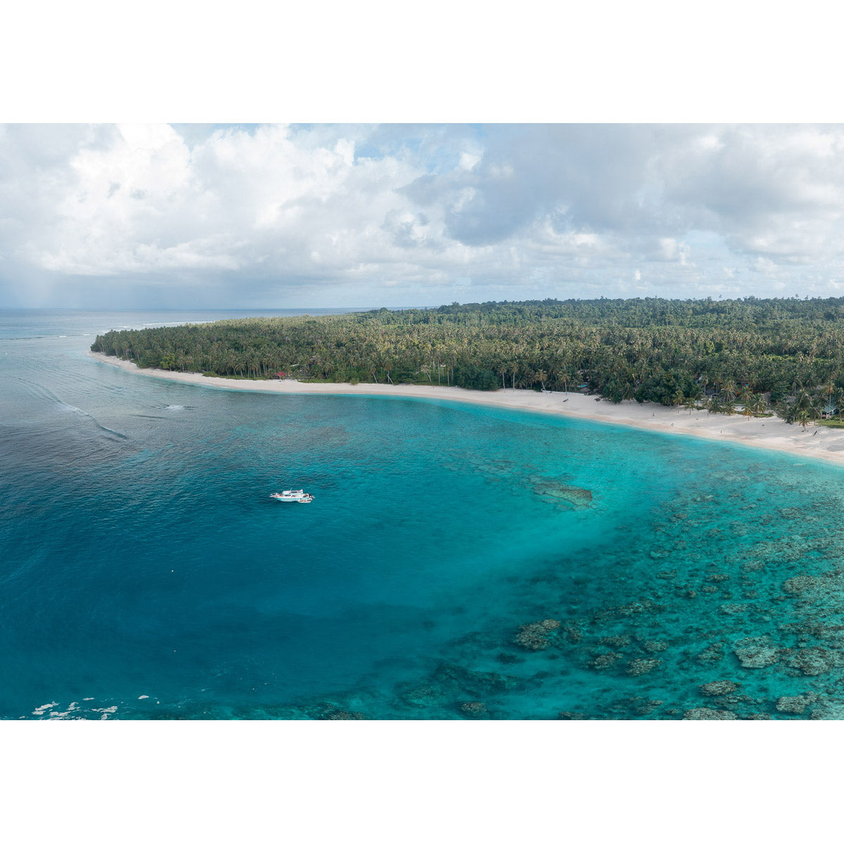 Hollow Trees - Mentawai - Art Print