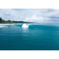 Greenbush - Mentawai - Art Print Tidaltones