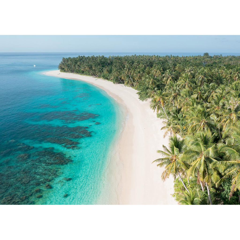 Palm Tree Perfection - Mentawai - Art Print