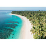 Palm Tree Perfection - Mentawai - Art Print