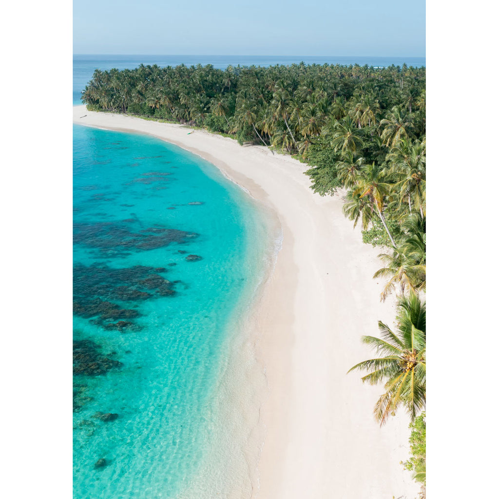 Palm Tree Perfection - Mentawai - Art Print