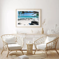 Cooly Dreaming - Tidaltones