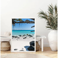 Cooly Dreaming - Tidaltones