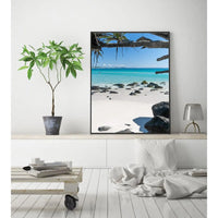 Cooly Dreaming - Tidaltones