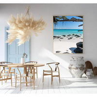 Cooly Dreaming - Tidaltones